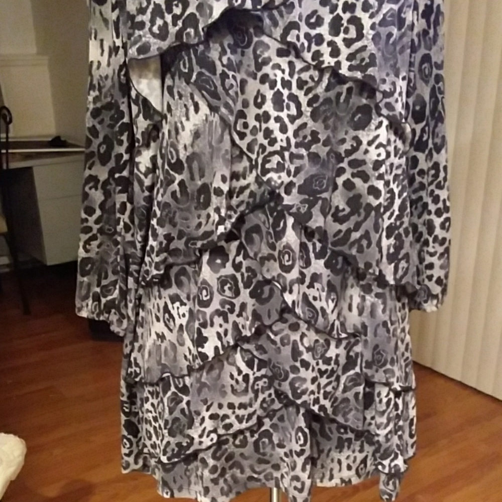 Ruffled Mini Dress - Picture 2 of 3